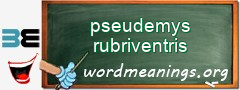 WordMeaning blackboard for pseudemys rubriventris